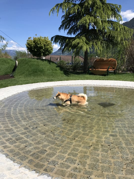 Gartenanlage Hotel Magdalena