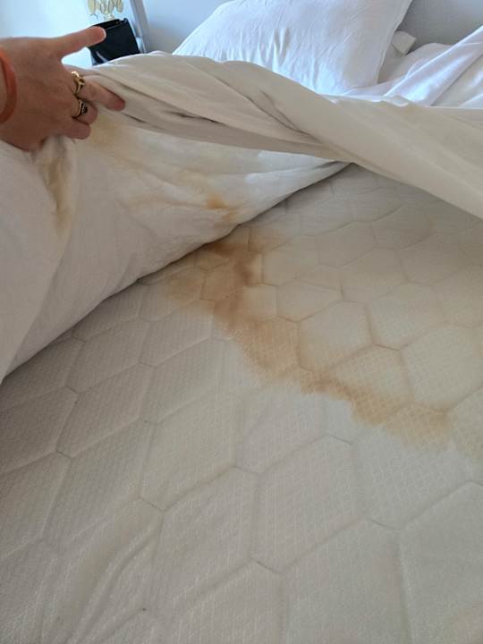 Zimmer Club Hotel Anjeliq