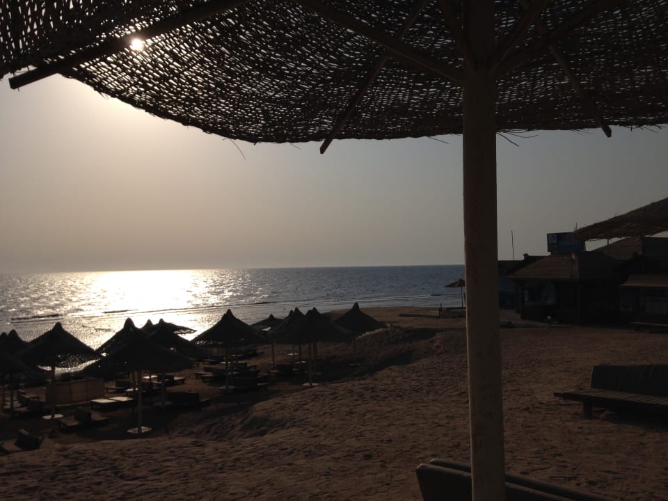 Strand Serenity Alpha Beach