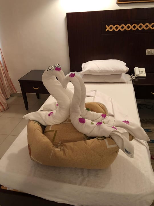 Zimmer Menaville Safaga