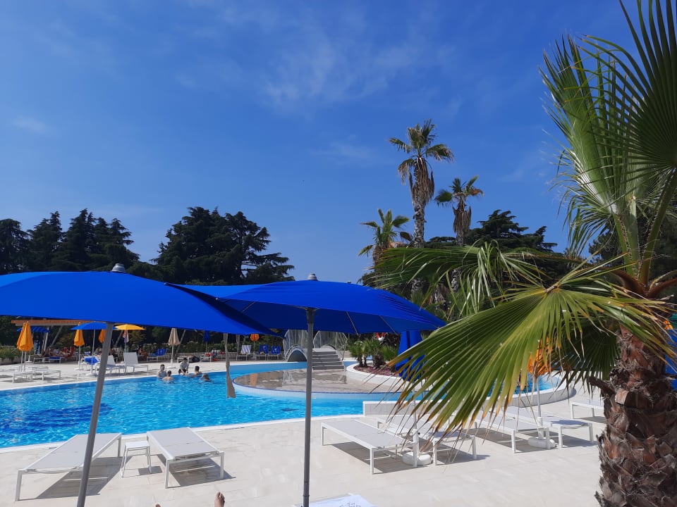 Pool Valamar Parentino Hotel