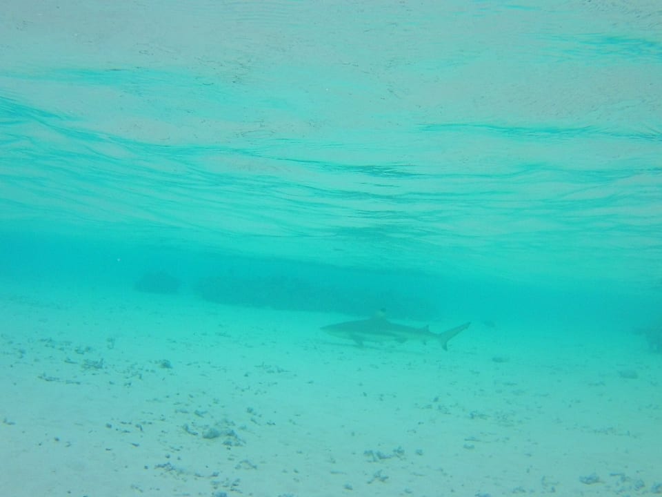 Sport & Freizeit Biyadhoo Island Resort