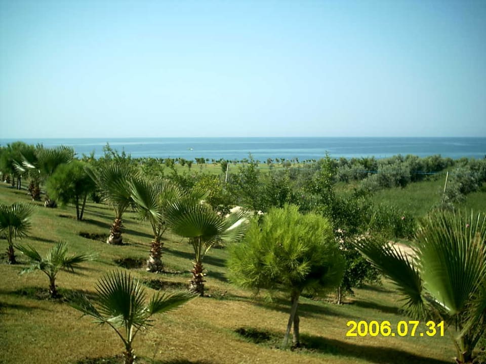 Gartenanlage Alba Resort Hotel