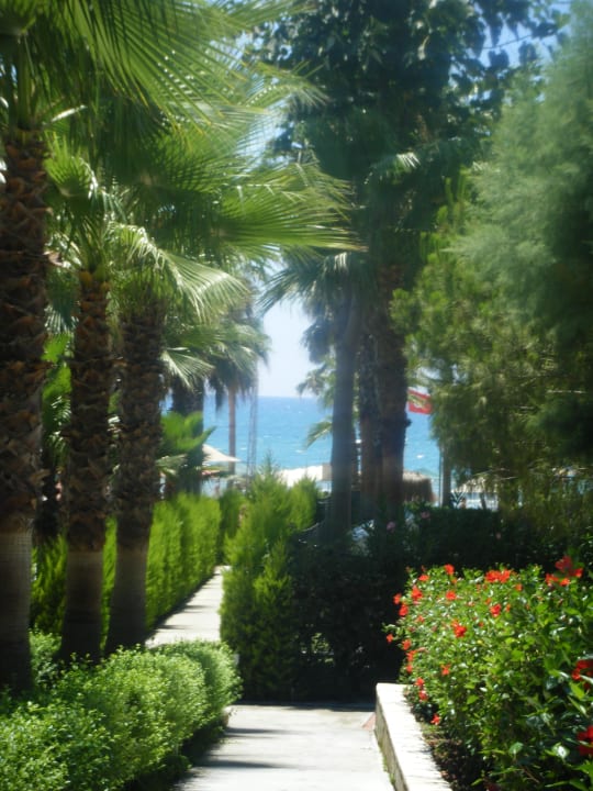 Weg vom Hotel zum Strand Miramare Queen Hotel