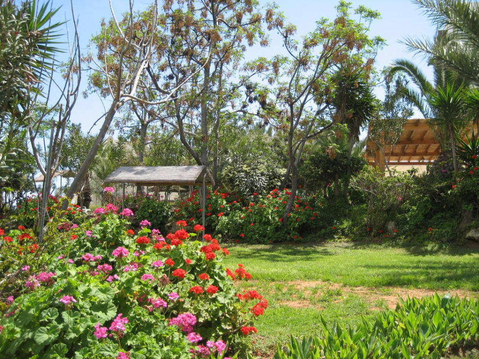 Der wunderschöne Garten Crystal Springs Beach Hotel