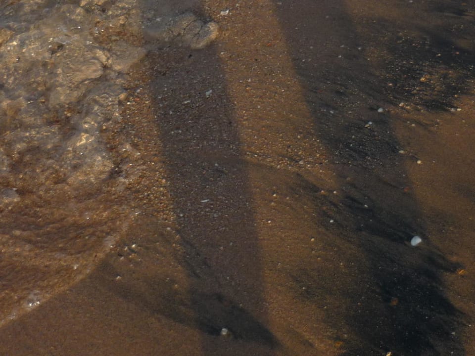 Strand mit Verschmutzung Jaz Makadi Oasis Resort