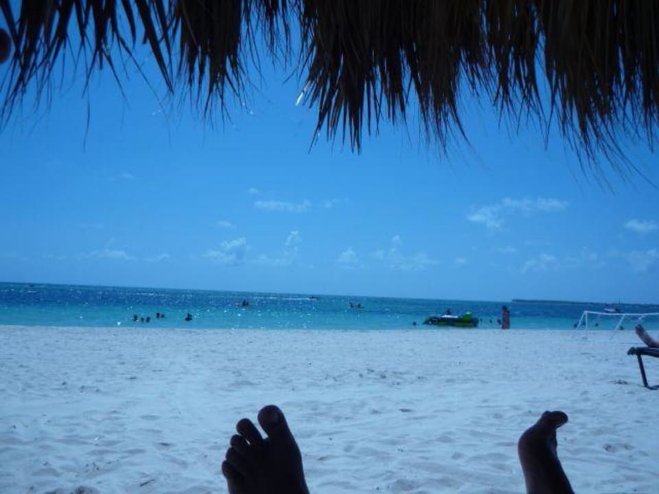 Blick vom Liegestuhl Dreams Royal Beach Punta Cana