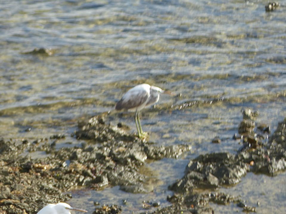 Vogel Three Corners Equinox Beach Resort