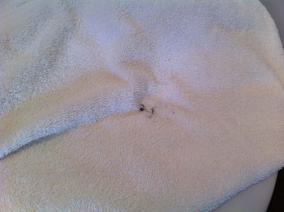 Schmutz! Hotel Ambassadeur