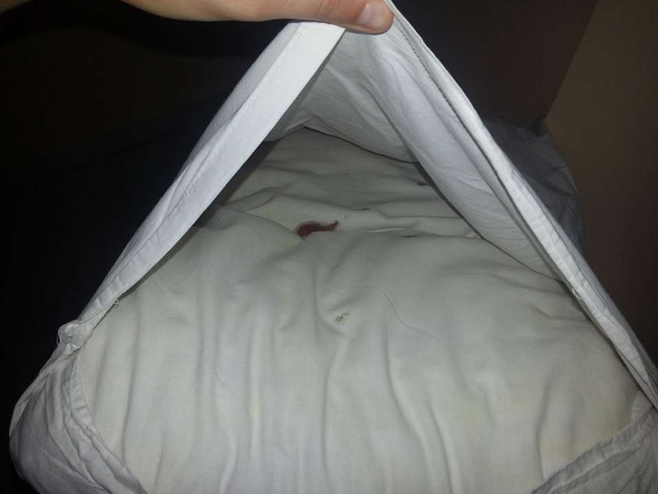 "Kuscheliges" Kissen Hotel Aslan City Kleopatra