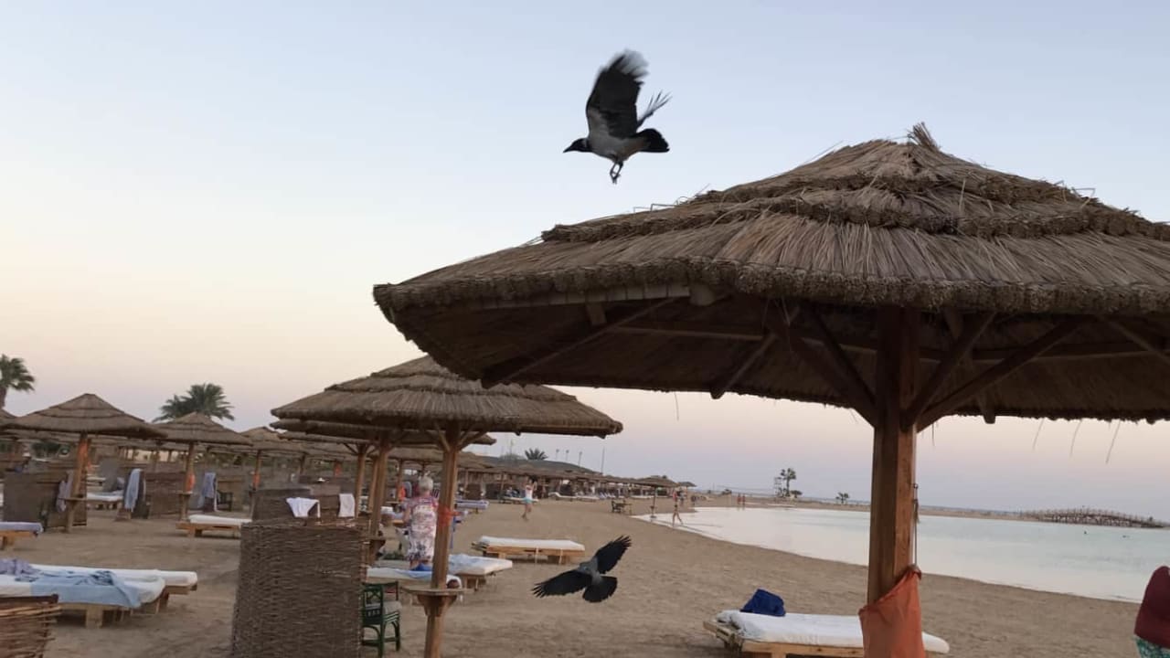 Strand Hotel Sheraton Soma Bay Resort