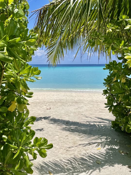 Ausblick Summer Island Maldives