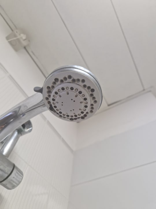 Zimmer Hotel Piccadilly