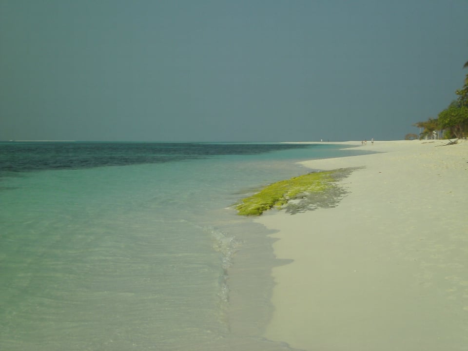 Einsamer Strand  Kuredu Island Resort & Spa
