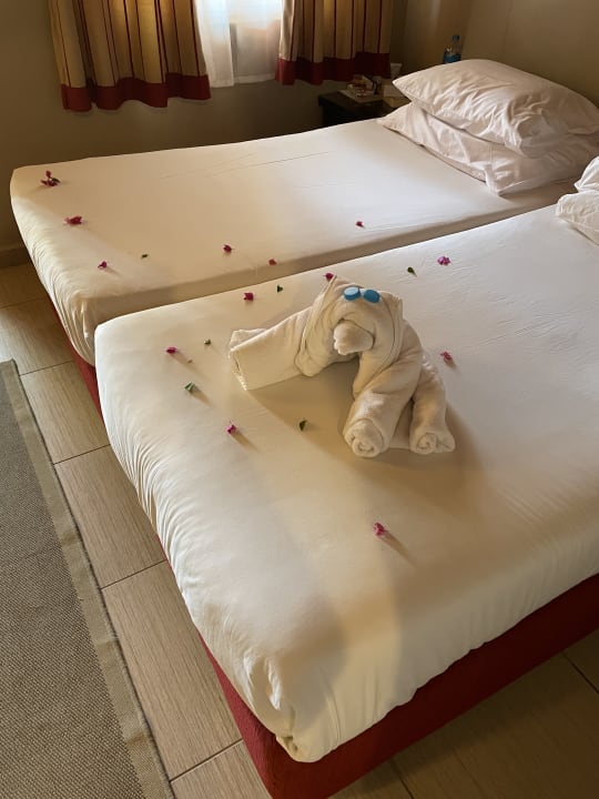 Zimmer Jaz Makadi Oasis Resort