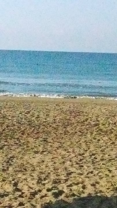 Strand Hotel Defne Garden