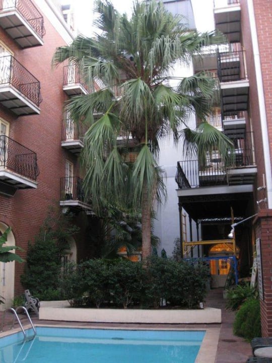 Palmen und Pool Hotel St Marie