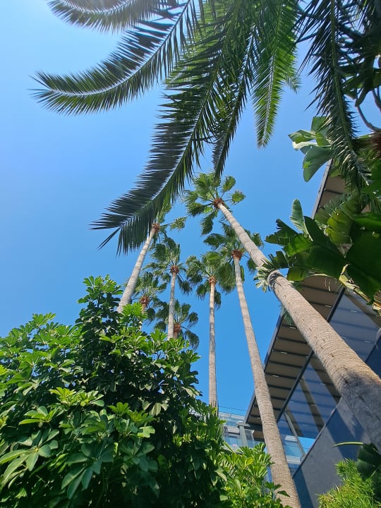 Gartenanlage Hotel Thalia Unique