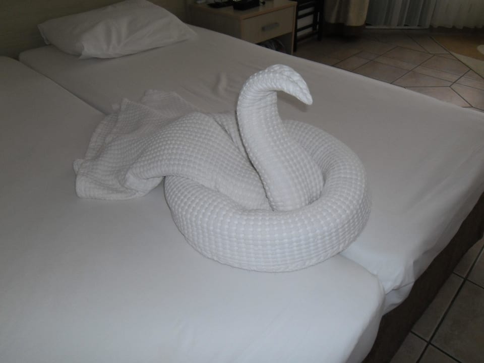 Überraschung vom Zimmermädchen Süral Saray Hotel