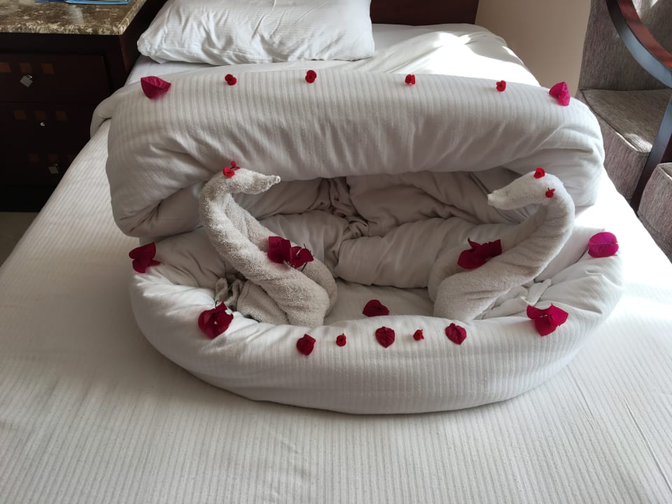 Sonstiges Shams Prestige Abu Soma-Adults Only