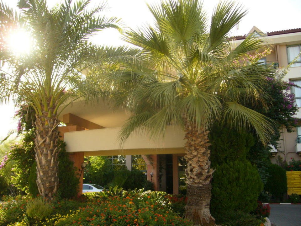 Hotel Greenwood Kemer Resort