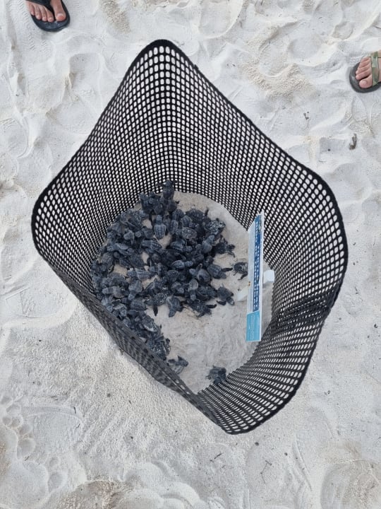 Sonstiges Akumal Bay Beach & Wellness Resort