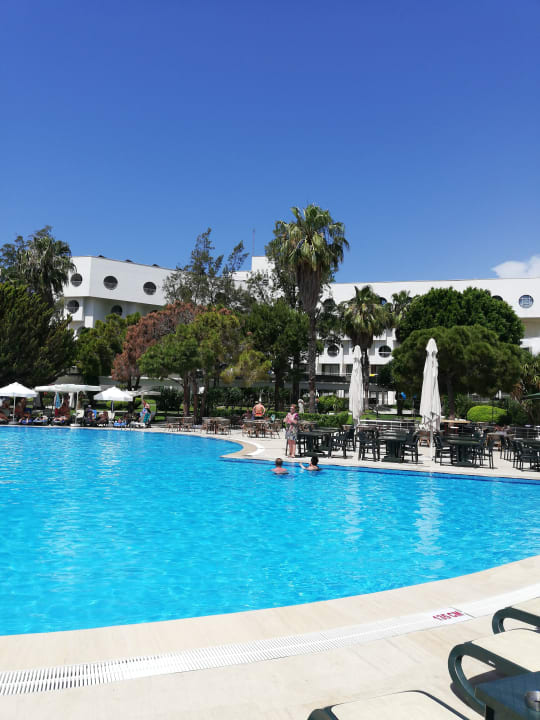 Pool Asteria Collection Side