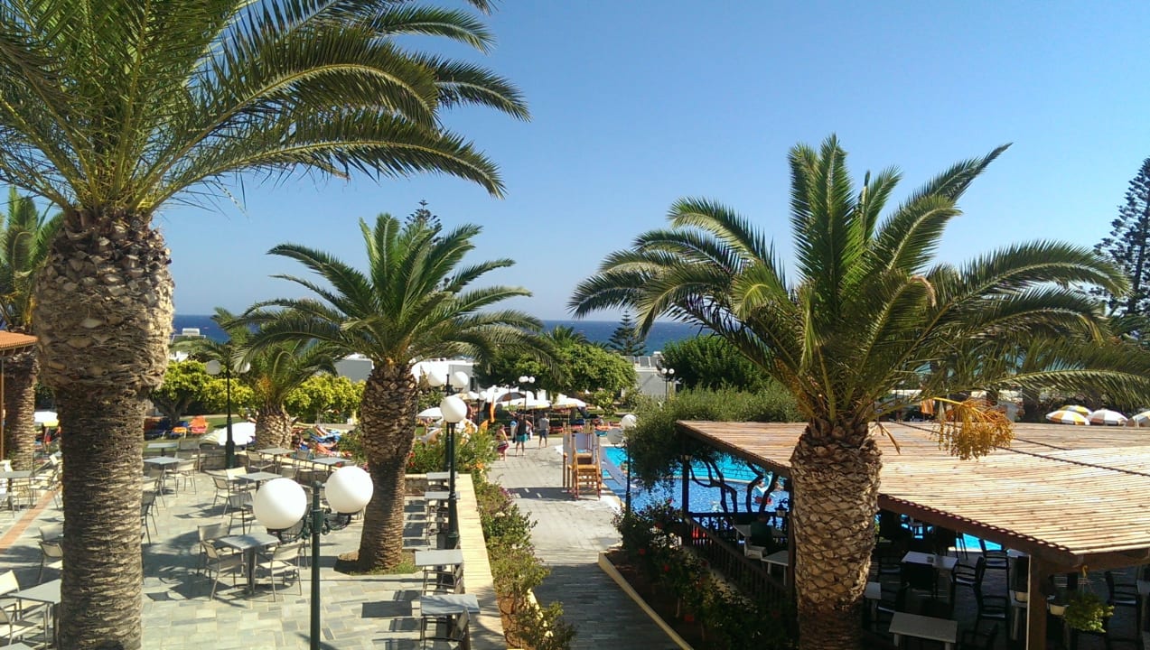 Ausblick TUI SUNEO Chrissi Amoudia