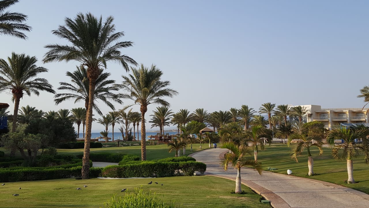 Gartenanlage Palm Royale Resort - Soma Bay