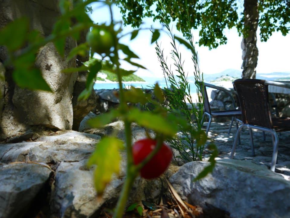 Gartenanlage Bohemian Sunset Villa - Kroatien