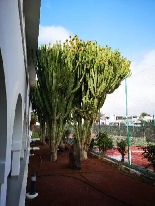 Gartenanlage Relaxia Olivina