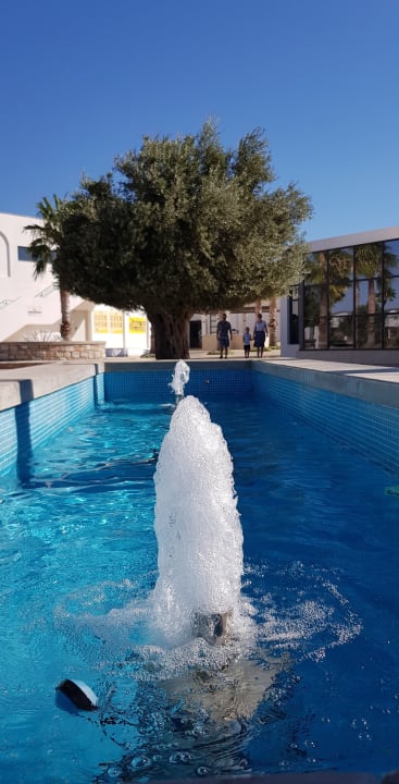 Sonstiges Atlantica Plimmiri