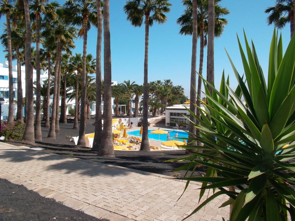 Blick von der Terrasse Aparthotel Costa Mar