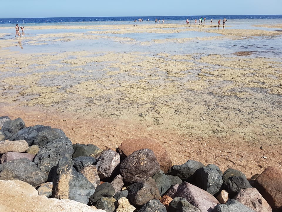 Strand Makadi Palace