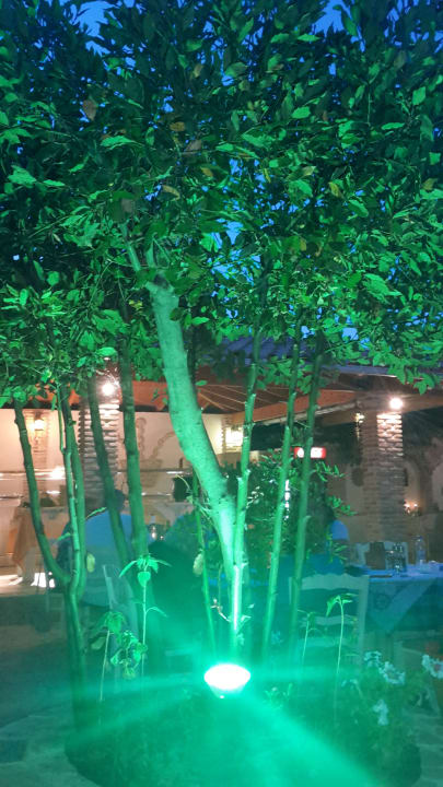 Gartenanlage Porto Koukla Beach