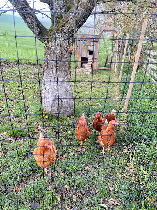 Sonstiges Aldiana Club Ampflwang