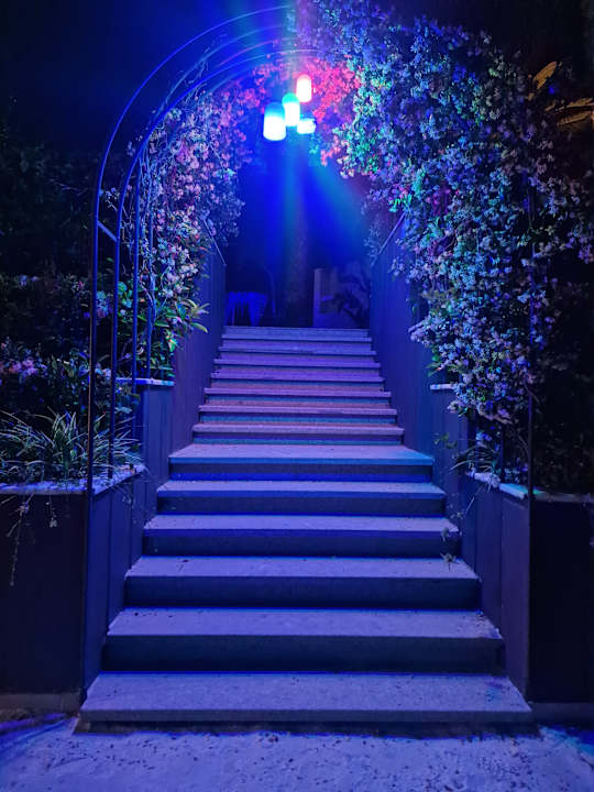 Gartenanlage Dream World Palace Hotel