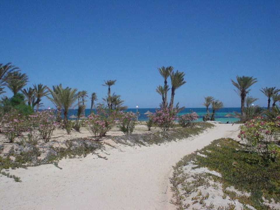 Der Weg zum Strand Hotel El Mouradi Djerba Menzel