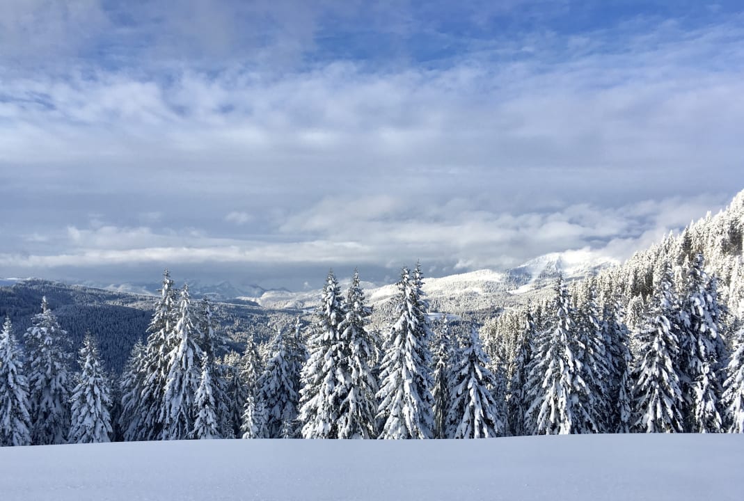 Ausblick Familien- & Vitalhotel Mühlpointhof