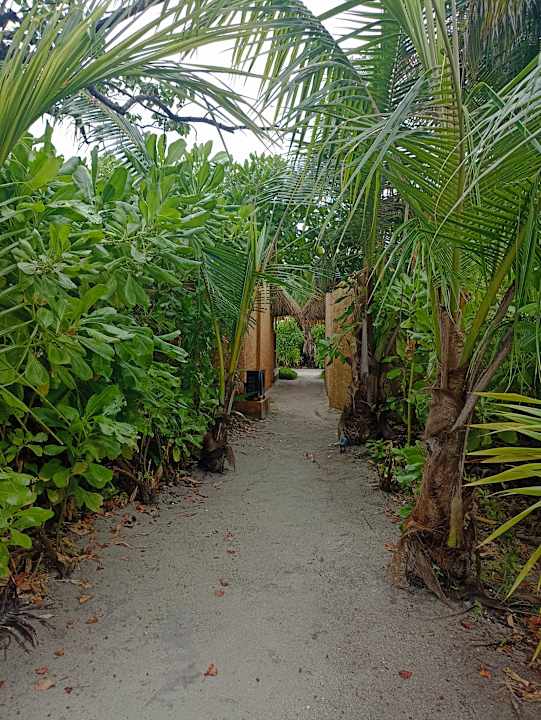 Gartenanlage Kuredu Island Resort & Spa