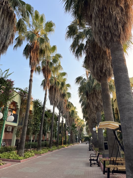 Gartenanlage VONRESORT Golden Beach