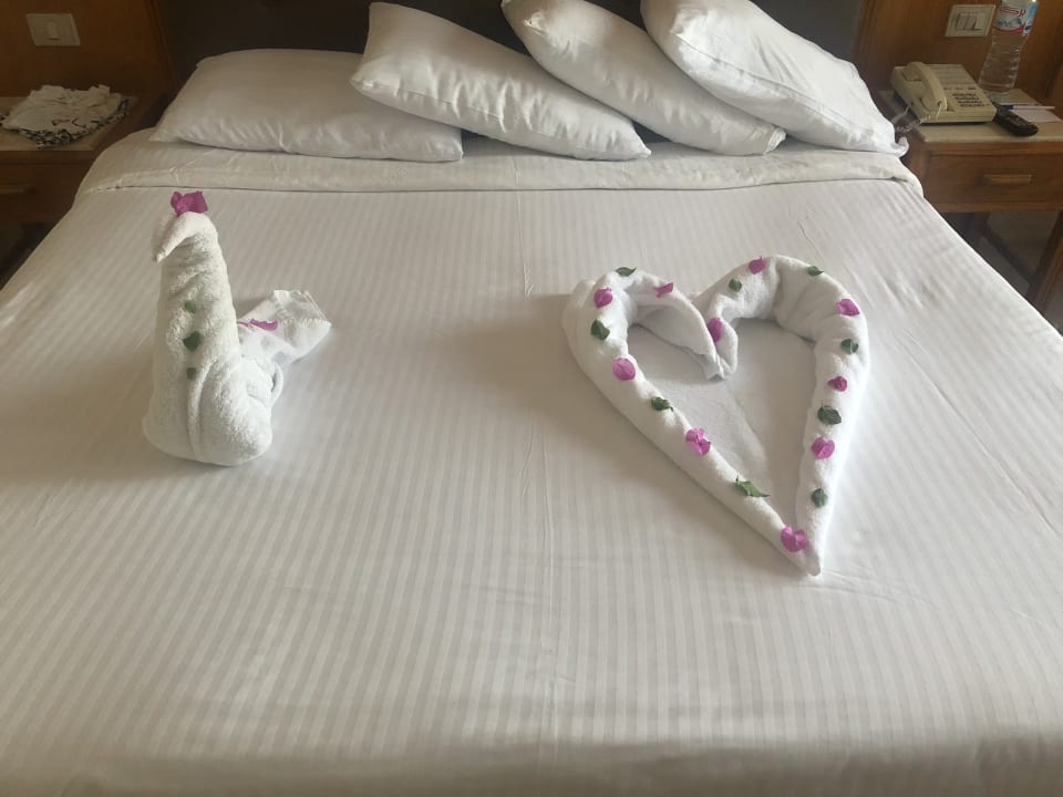 Zimmer Pharaoh Azur Resort