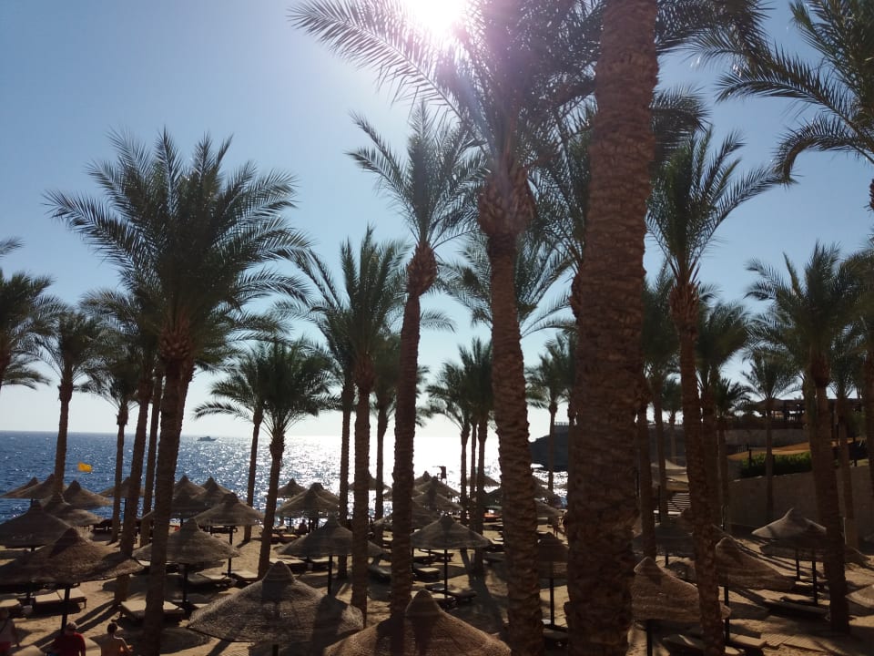 Strand The Grand Hotel Sharm El Sheikh
