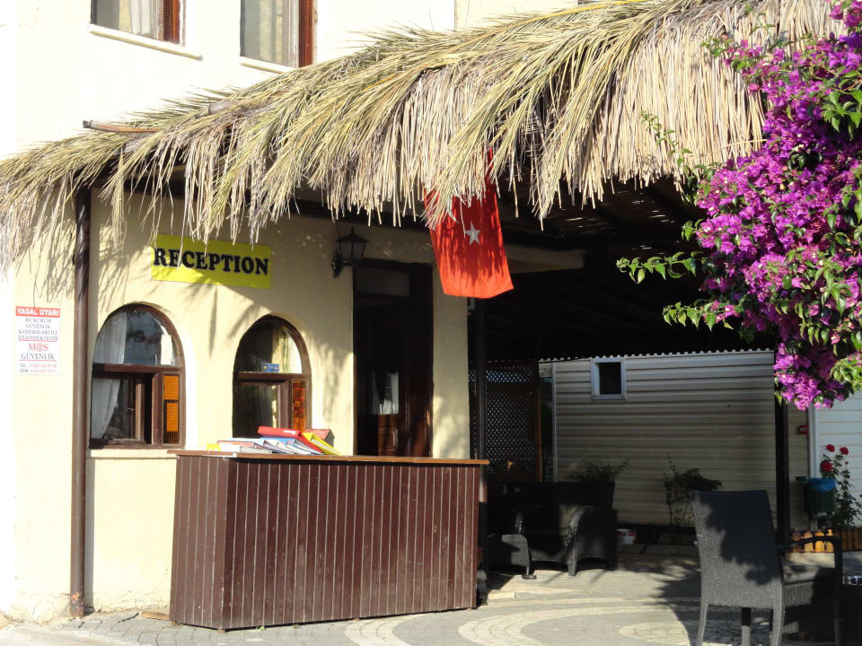 Rezeption Clover Magic Nova Beach