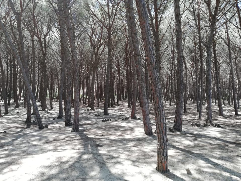 Strand TUI MAGIC LIFE Calabria