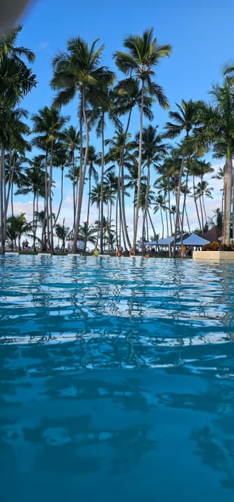 Pool Viva Wyndham Samaná