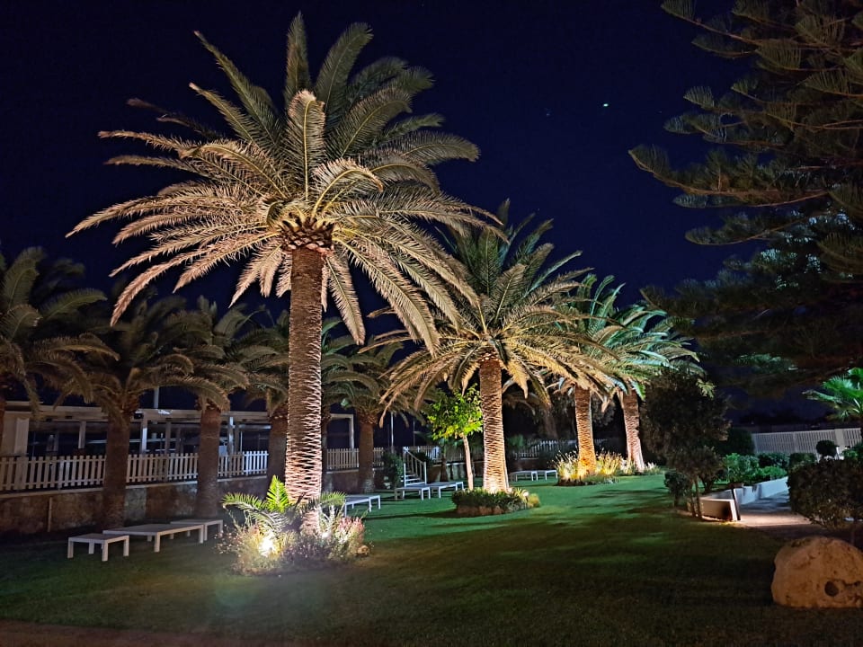 Gartenanlage Hotel Minos Mare Beach