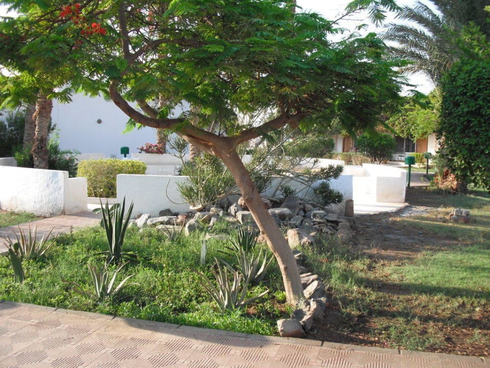 Garten Shams Safaga Resort