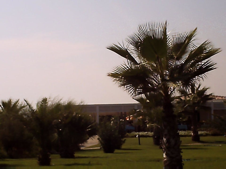 Beachbar VONRESORT Golden Beach