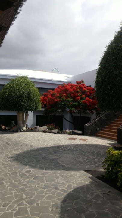 Garten allsun App.-Hotel Albatros